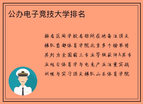 公办电子竞技大学排名